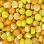 French Mustard: 50g