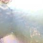 Clear Irid (100TR)