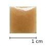Warm sand H9
