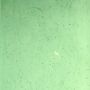 Tinted Green Cathedral (k311208)