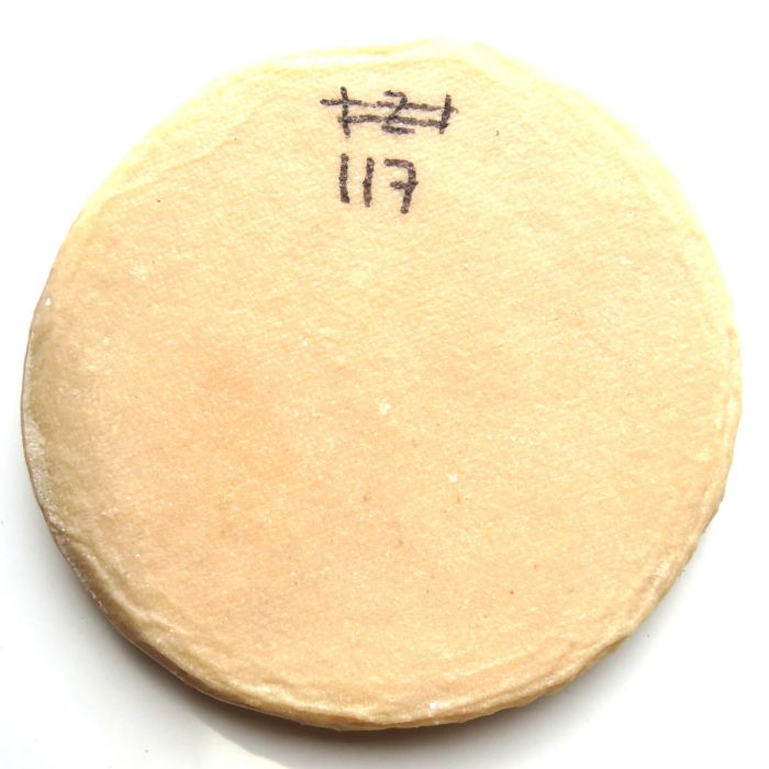 Medallion 117