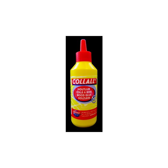 PVA Squeeze Bottle:100ml - Glue - The Craft Kit