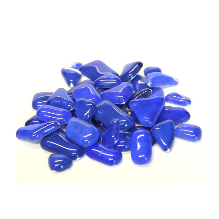 Blue Delphinium